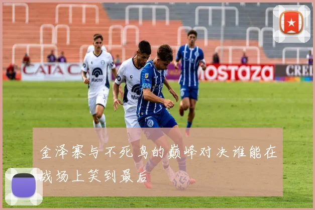 金泽寨与不死鸟的巅峰对决谁能在战场上笑到最后