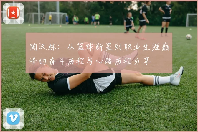 陶汉林：从篮球新星到职业生涯巅峰的奋斗历程与心路历程分享