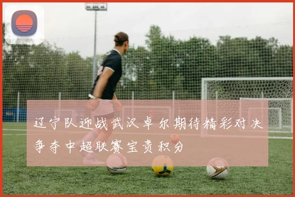 辽宁队迎战武汉卓尔期待精彩对决争夺中超联赛宝贵积分