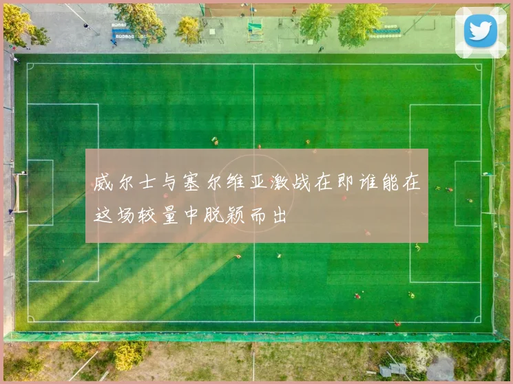 威尔士与塞尔维亚激战在即谁能在这场较量中脱颖而出