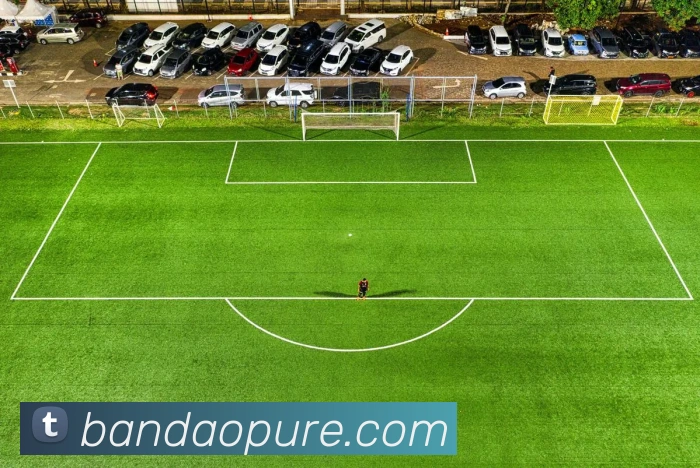 半岛体育APP 高清赛事图